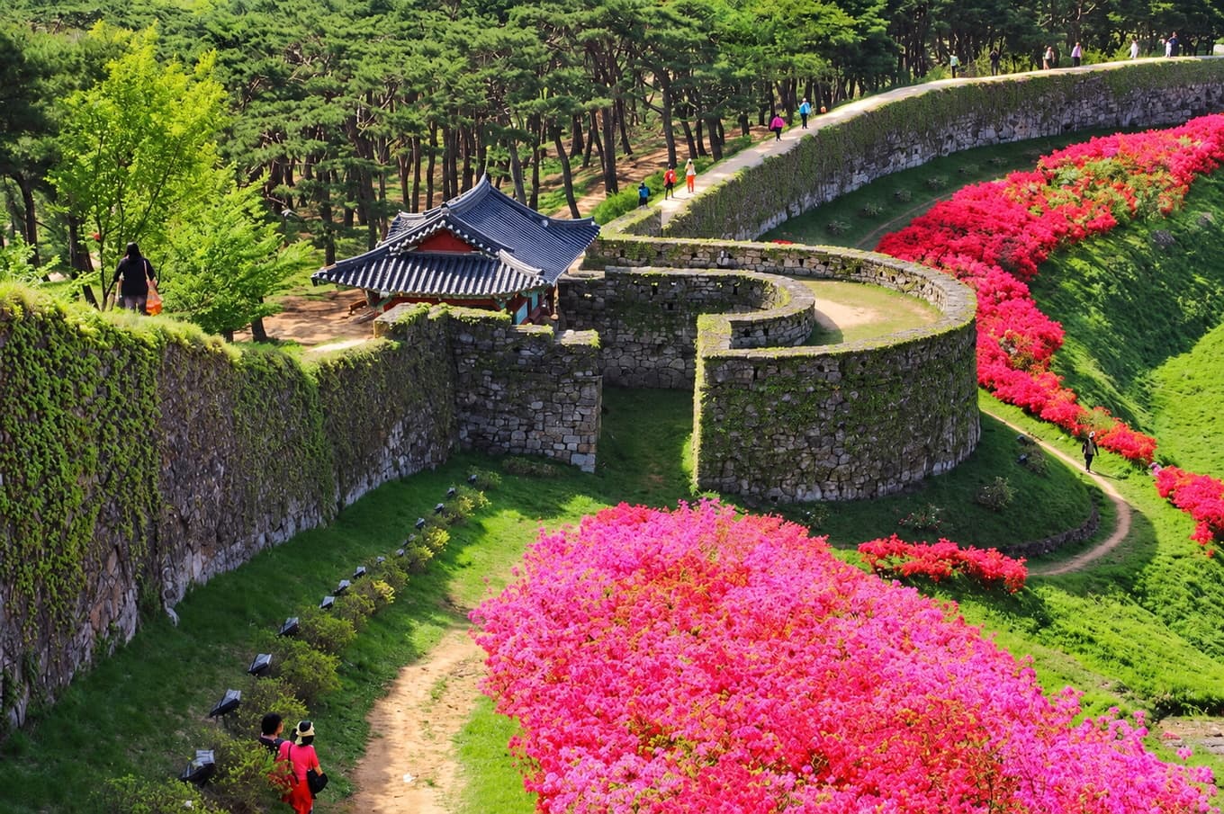 A pavilion on the grass rampart of Gochangupseong Fortress in Gochang.