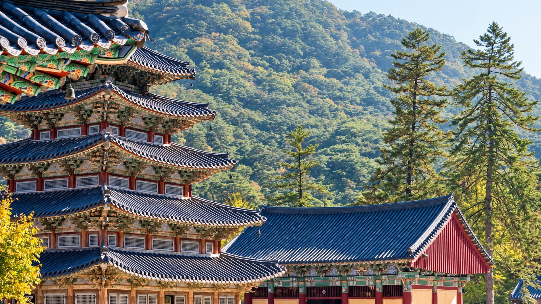 The five-story wooden pagoda hall at Beopjusa among tall pines.