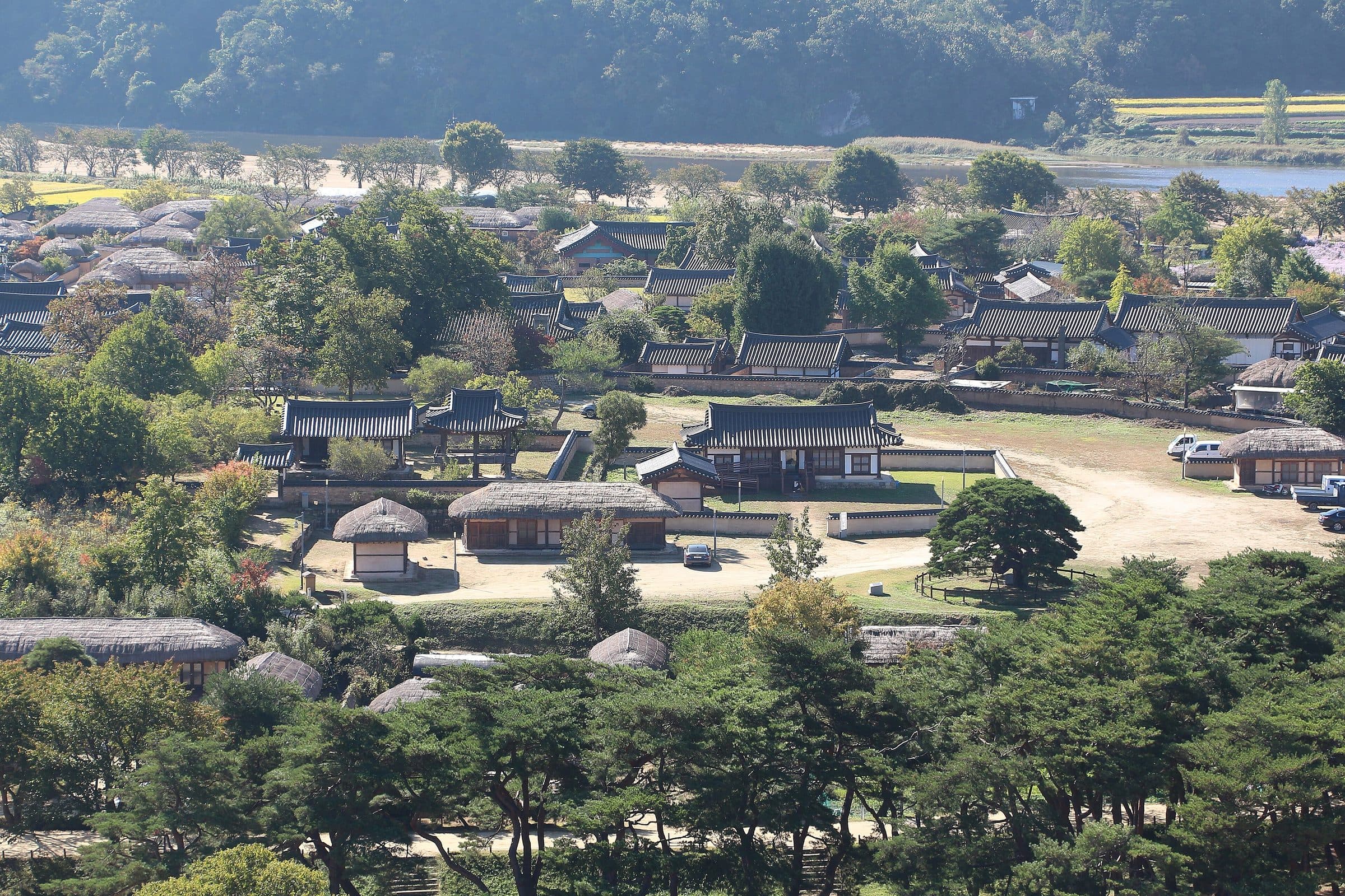 Thatched and tiled roofs among trees in Hahoe Folk Village, Andong
