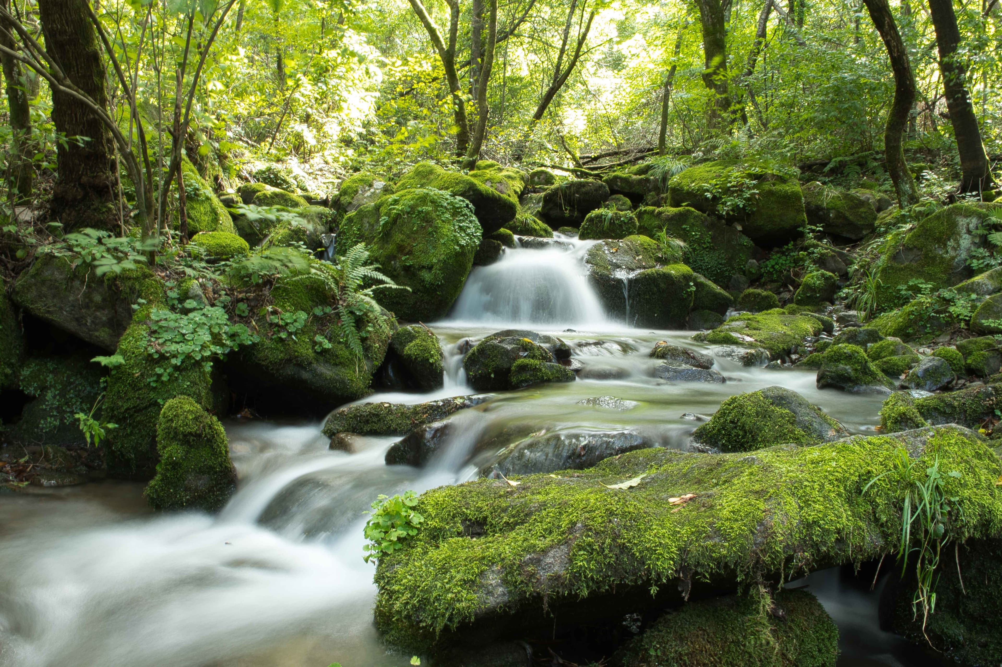A small waterfall running over mossy rocks in Yeongwol Moss Valley.
