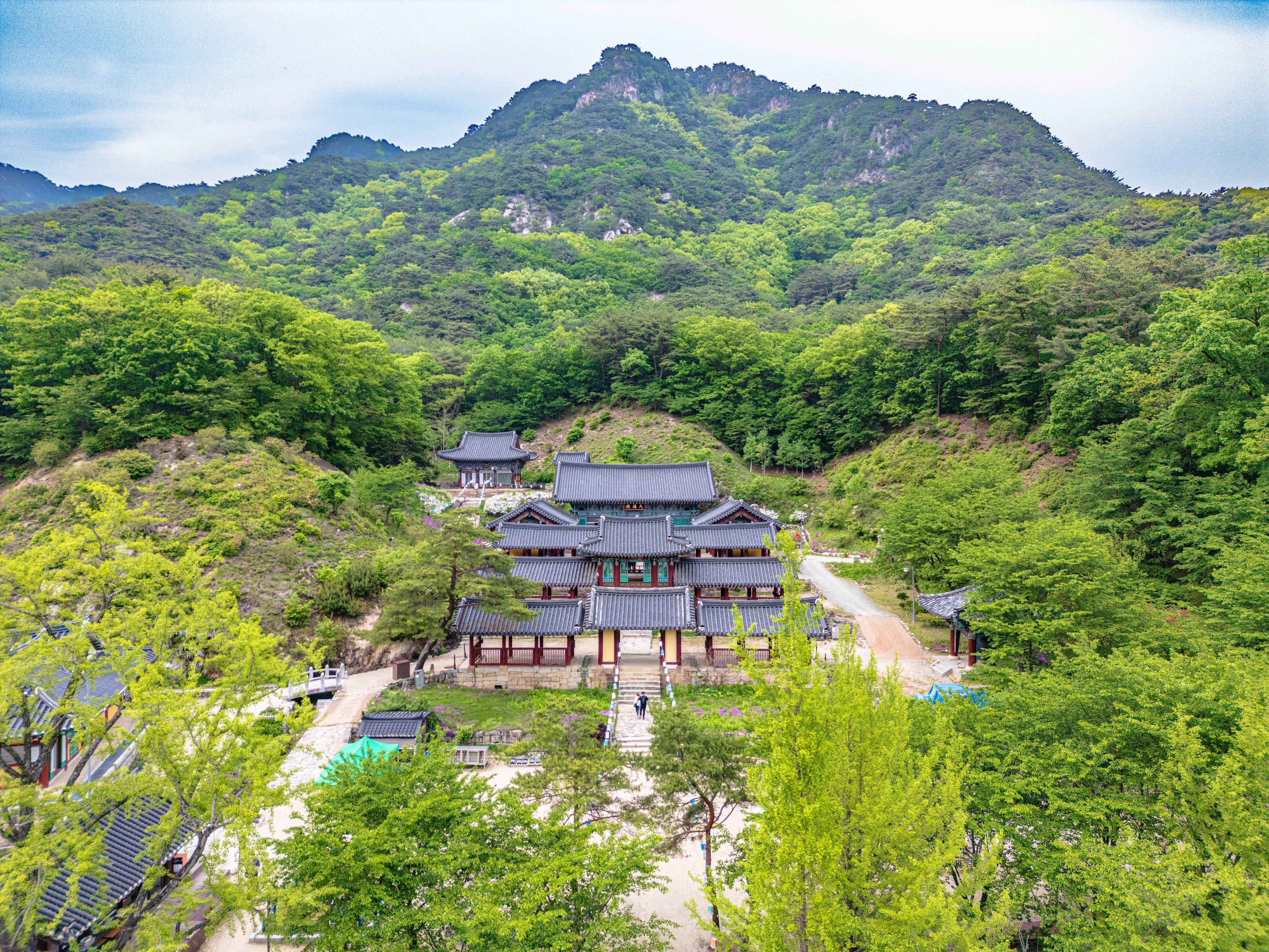 Temple halls among spring trees below a rocky mountain at Cheongpyeongsa Temple in Chuncheon.